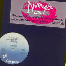 The Divinyls : Live at the Ritz